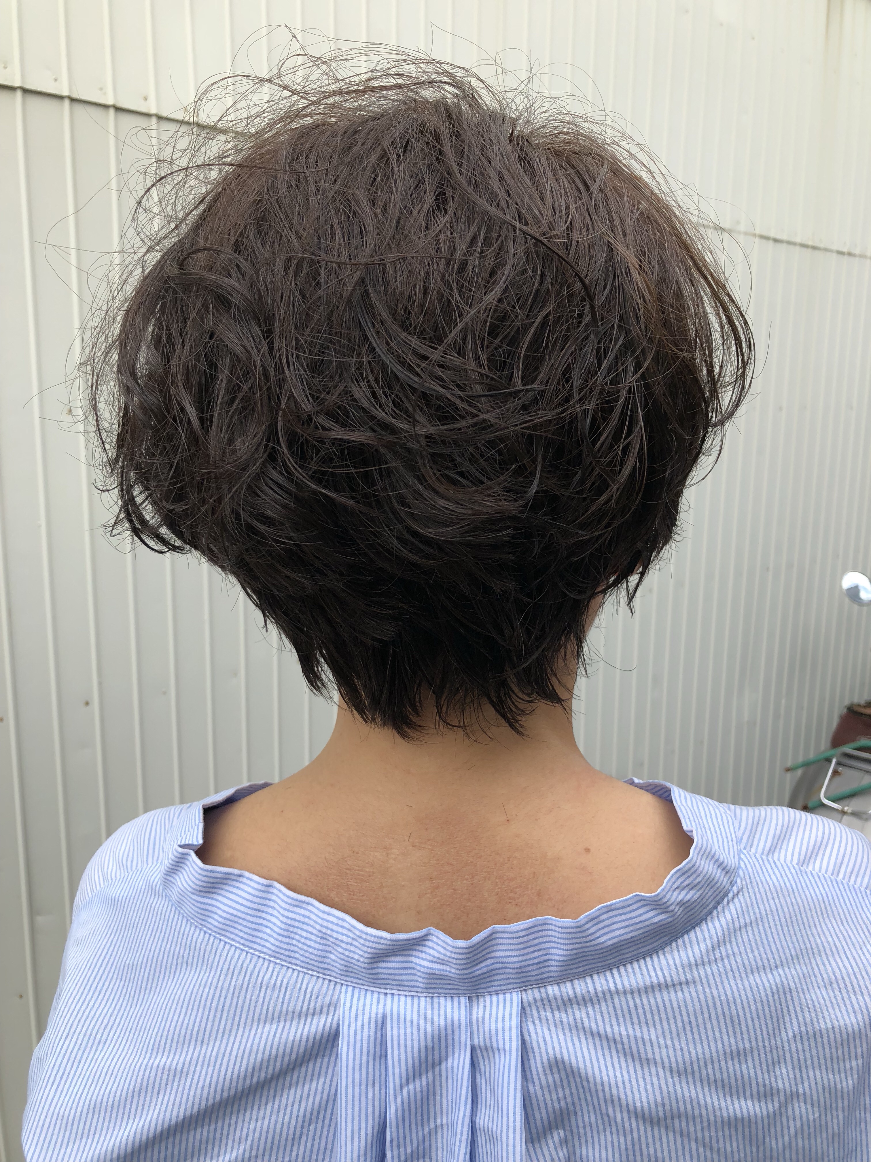 白髪も外国人風カラーにショートボブにミルクティーアッシュがお洒落【のぶこさん】の髪名古屋塩釜口【追記あり