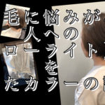 ハイライトに飽きた方おすすめローライトの入れ方解説します@名古屋