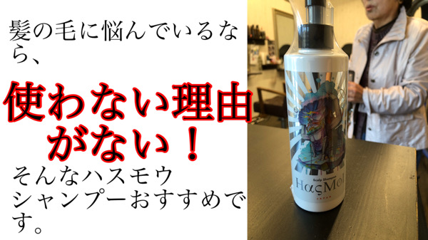育毛や発毛に使えるハスモウシャンプーはコスパも抜群な理由3選 名古屋 名古屋塩釜口外国人風カラーが得意な寺島洋輔ヘアカラーblog