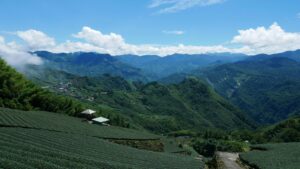 リケラオイルのシリアルナンバーと転売品のリスク解説