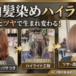 愛知名古屋で二週間に一回の白髪染めからハイライトで脱白髪染め